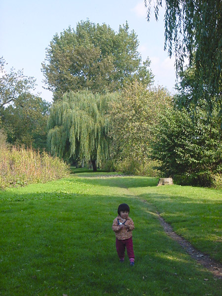 DSC00049